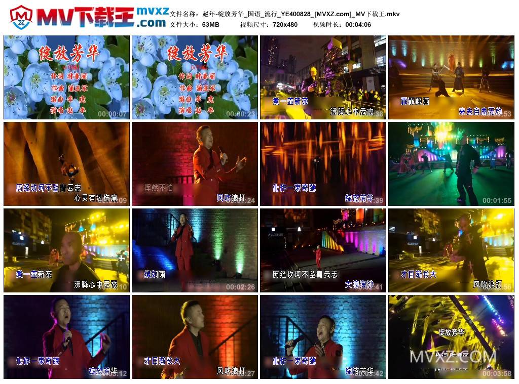 赵年-绽放芳华_国语_流行_YE400828
